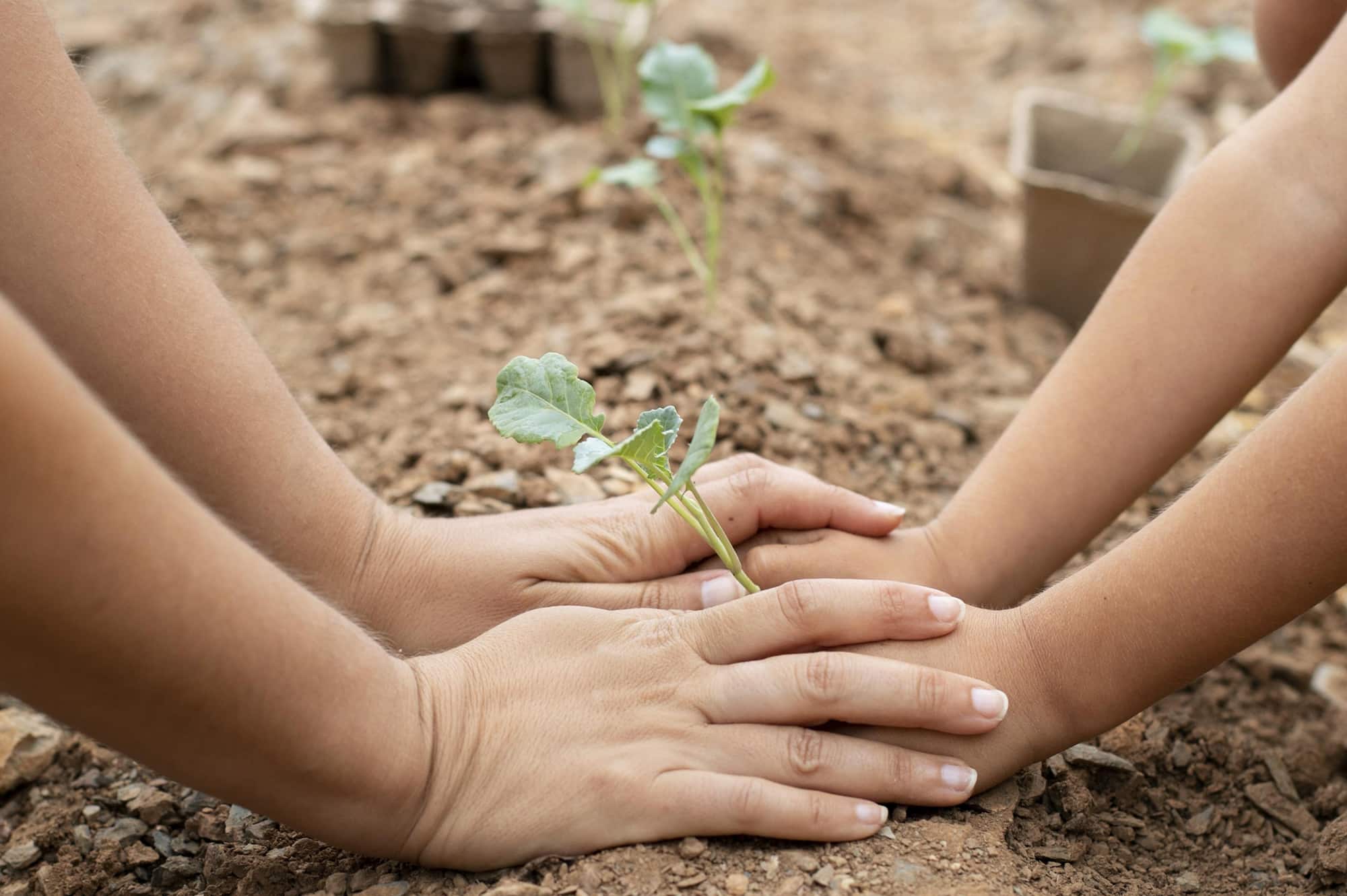 Protégeons notre planète : agir pour un avenir durable